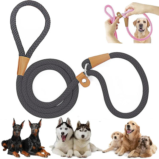 Nylon Slip Lead Dog Leash for No Pull Training