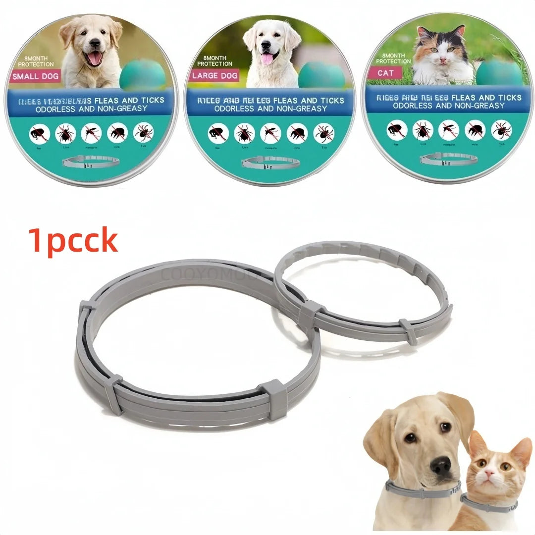 Flea And Ticks Dog or Cat Collar: 8 Month Protection for Small and Large Dogs and Cats
