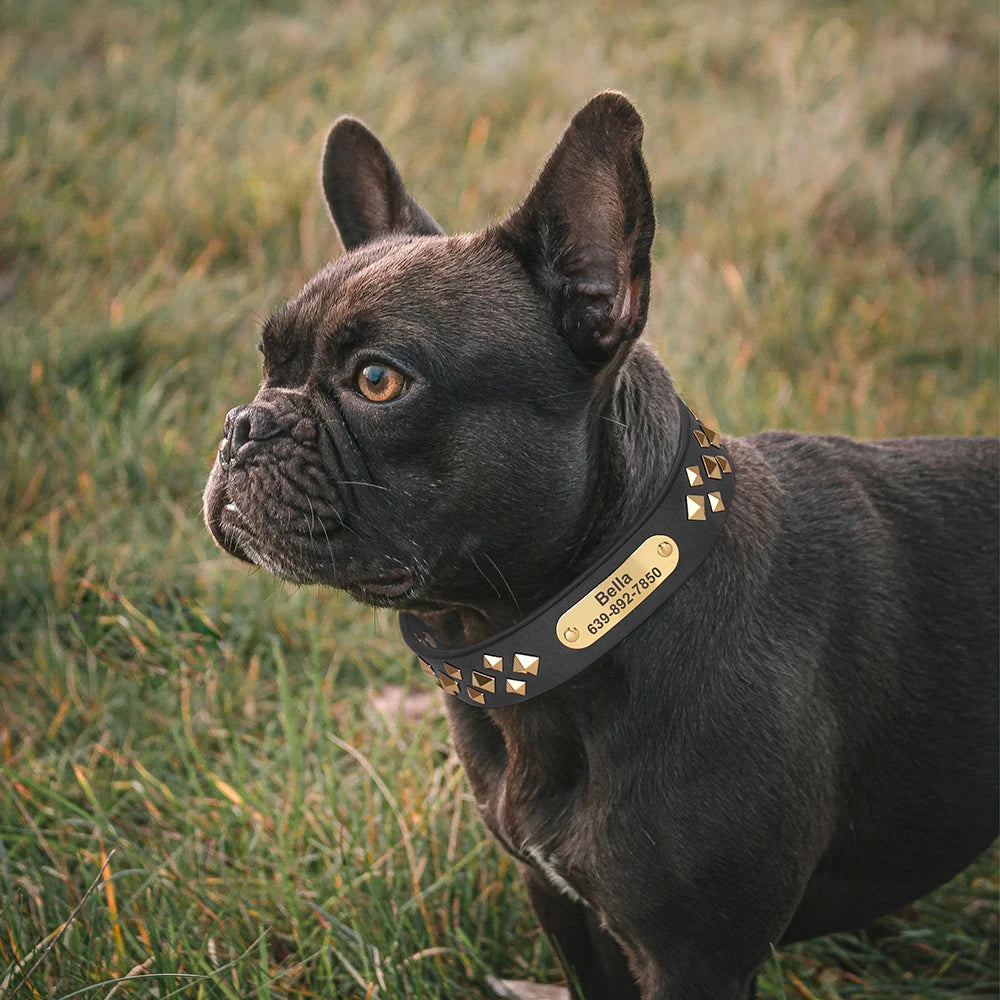 Real Leather Dog Collar Personalised Dog ID Spiked Studded Necklace