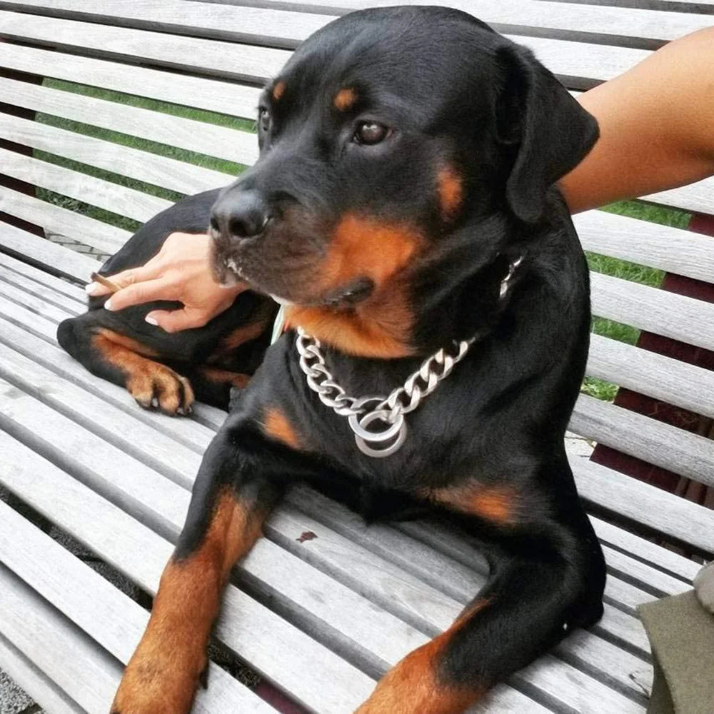 Stainless Steel Dog Chain Collar Cuban Link Training Slip Chain