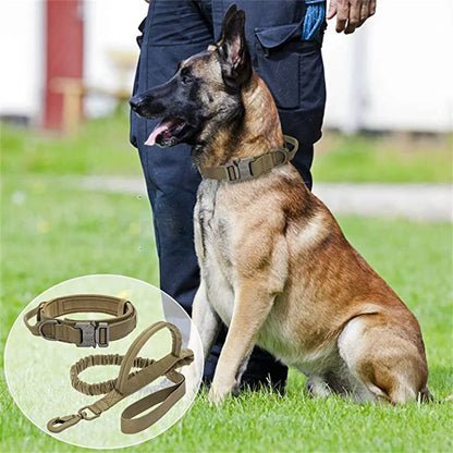 Military-grade dog collars 