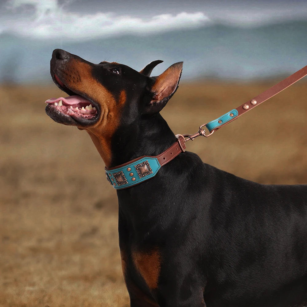 Pure Leather Luxury Metal Rivet Dog Collar and Leash Set For Medium Large Dogs