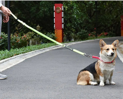 Reflective Nylon Multi-functional Retractable Dog Leash with Car Safety Buckle