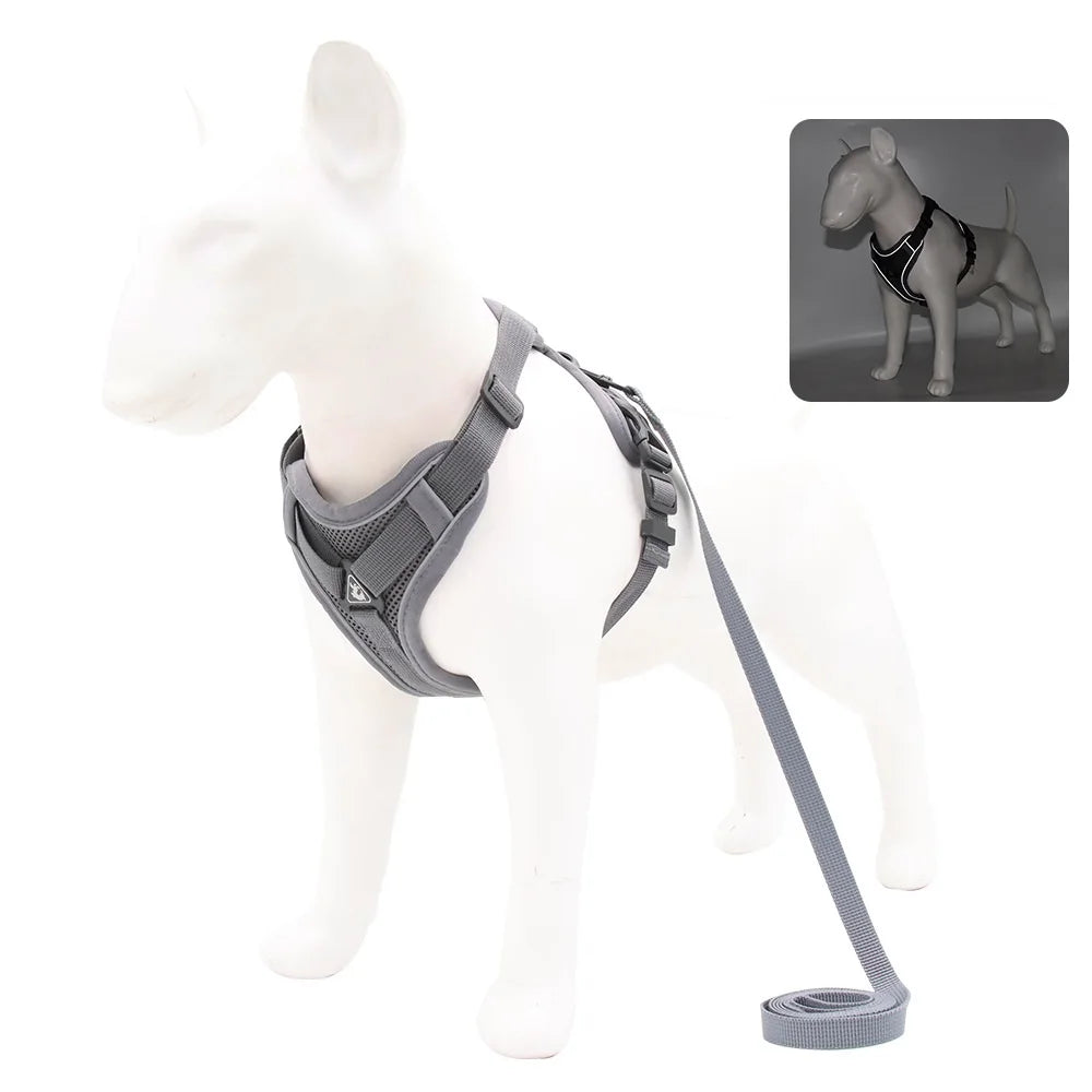 Harness and Leash Set for Small Dog and Cat
