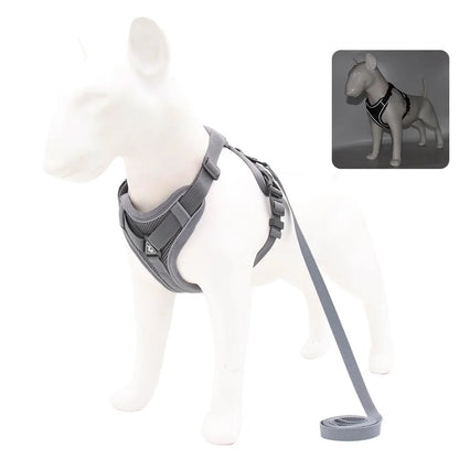 Harness and Leash Set for Small Dog and Cat