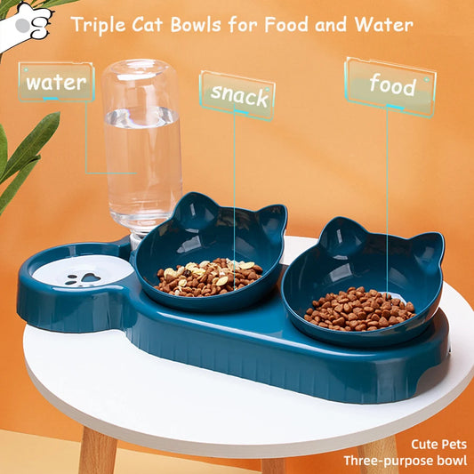 Dog food and water bowl