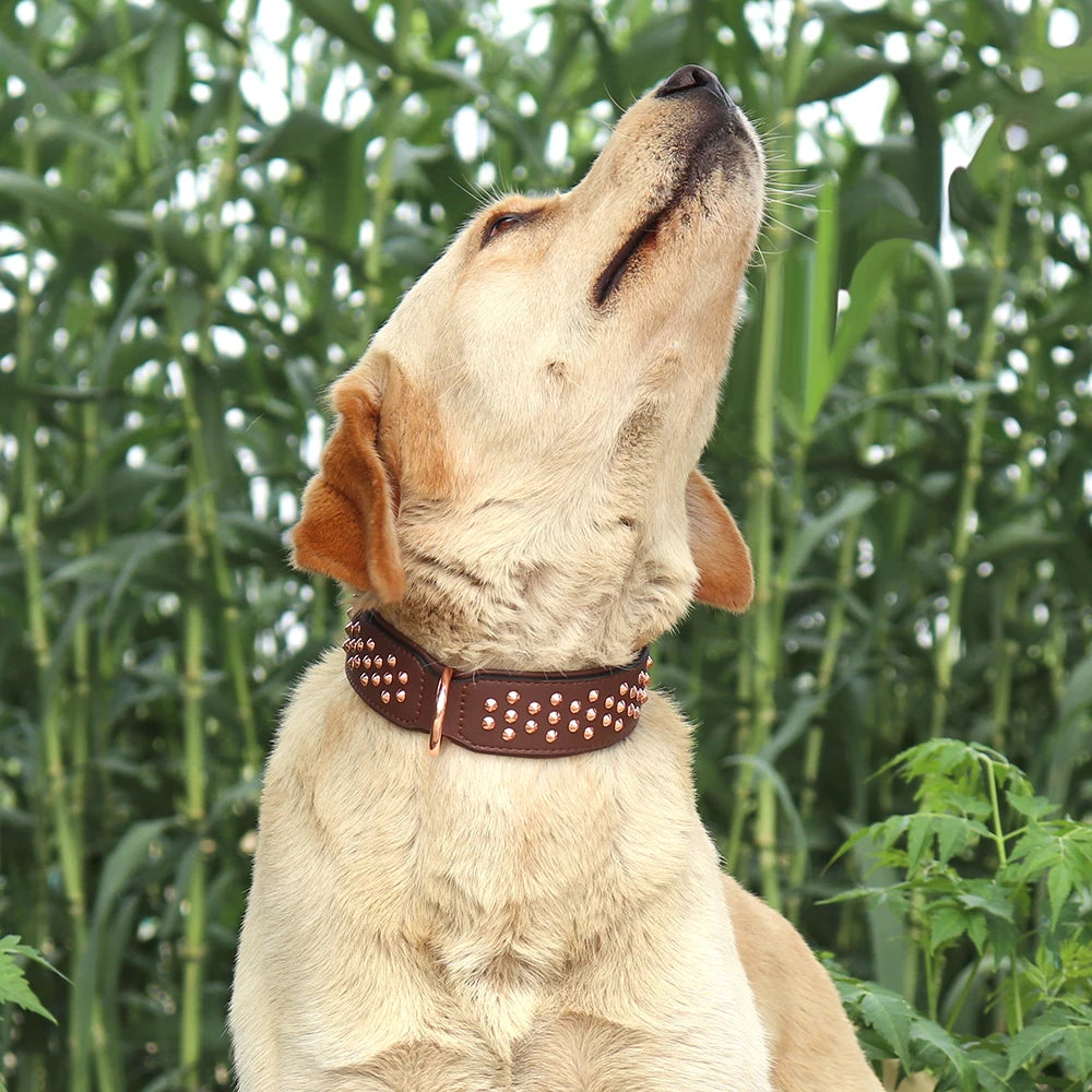 Adjustable Dog Leather Collar: Cool Spikes Metal Rivet Collar