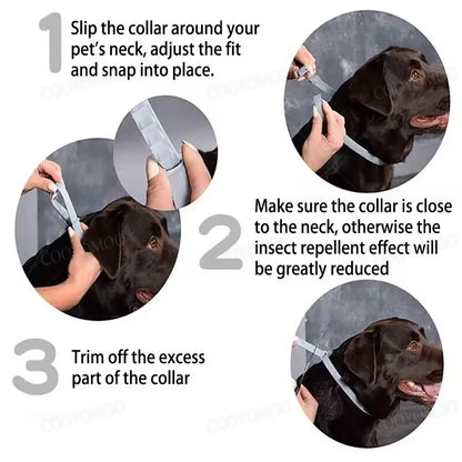 Anti Flea And Ticks Collar for Cat and Dog