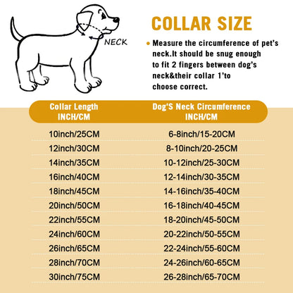Stainless Steel Dog Chain Collar