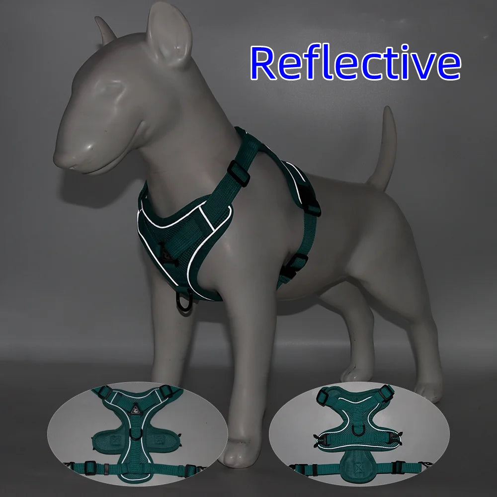 Harness and Leash Set for Small Dog and Cat
