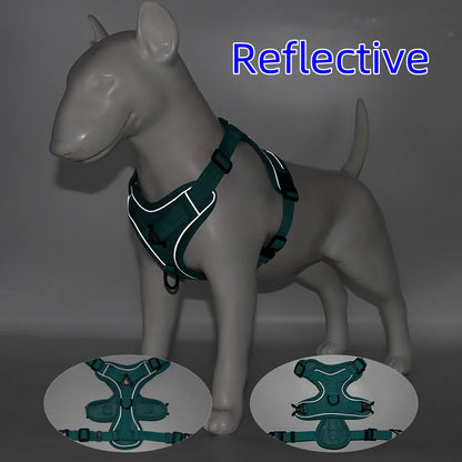 Harness and Leash Set for Small Dog and Cat