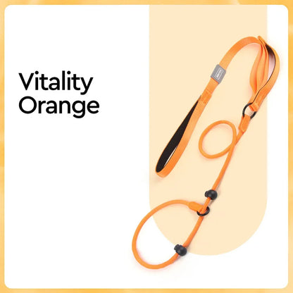 Nylon Slip Lead Dog Slip Leash and Collar