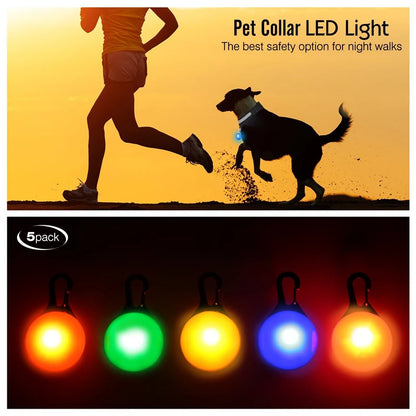 Glowing Led Light Dog Collar With Detachable Pendant Usb Charging