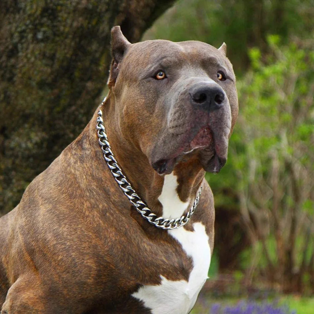 Stainless Steel Dog Chain Collar Cuban Link Training Slip Chain