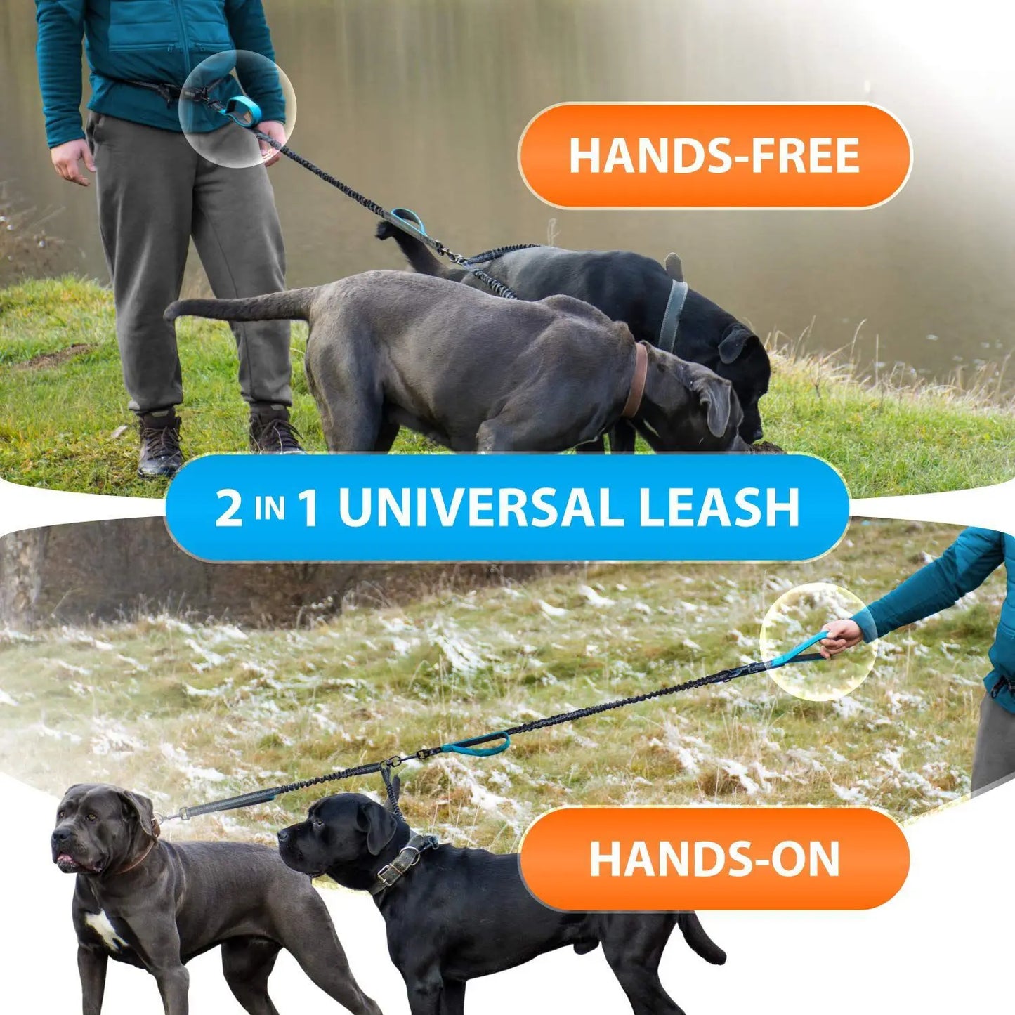 Dual Leads Hands Free Shock Absorbing Dog Leash