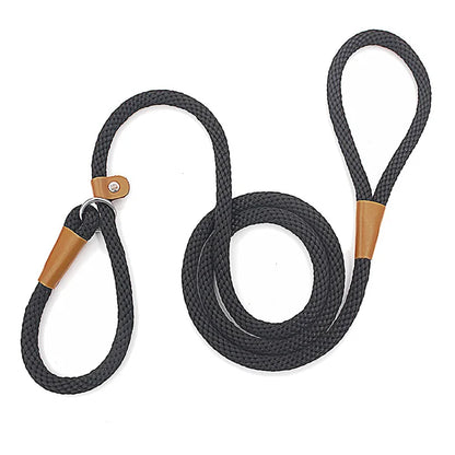 Nylon Slip Lead Dog Leash for No Pull Training