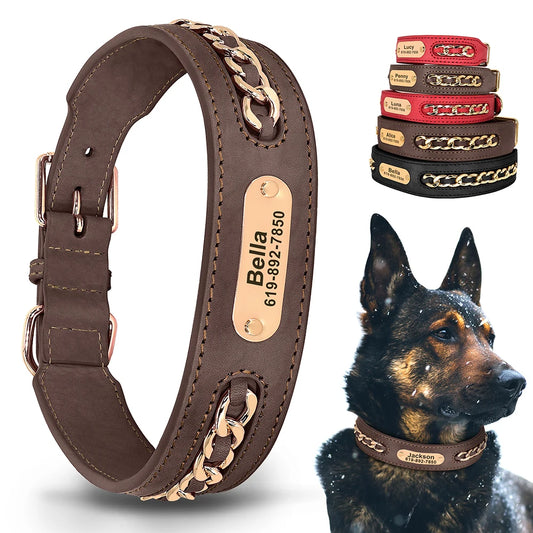 Custom Leather Dog Collar with Personalized ID Tag Nameplate