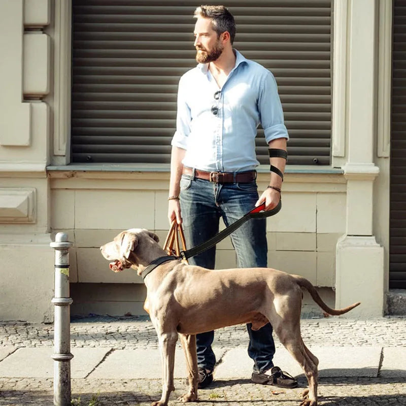 Double Handle Heavy Duty Nylon Dog Leash For Dog