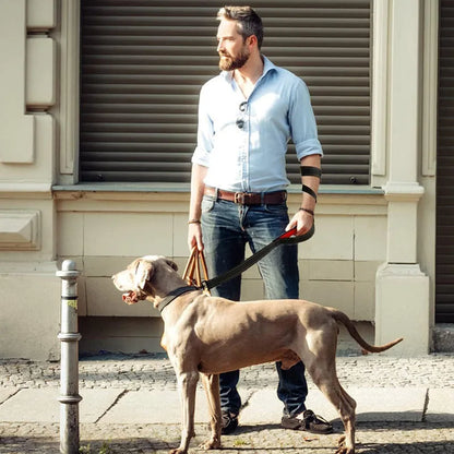 Double Handle Heavy Duty Nylon Dog Leash For Dog