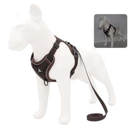 Harness and Leash Set for Small Dog and Cat
