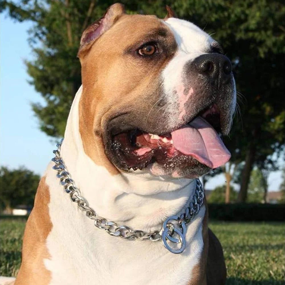 Stainless Steel Dog Chain Collar Cuban Link Training Slip Chain