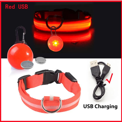 Glowing Led Light Dog Collar With Detachable Pendant Usb Charging