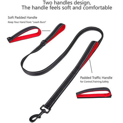Double Handle Heavy Duty Nylon Dog Leash For Dog