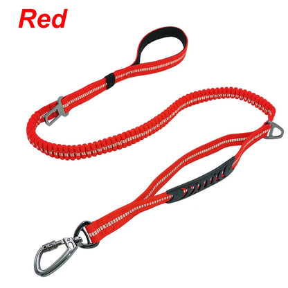 Reflective Nylon Multi-functional Retractable Dog Leash with Car Safety Buckle