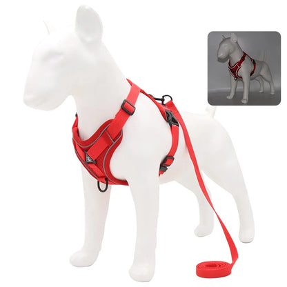 Harness and Leash Set for Small Dog and Cat