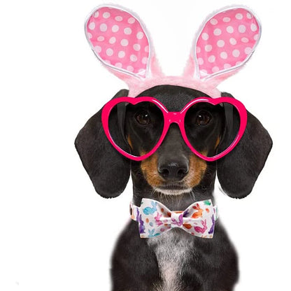 Paws Easter Dog Cat Collar with Bowtie for Large Medium Small Dog