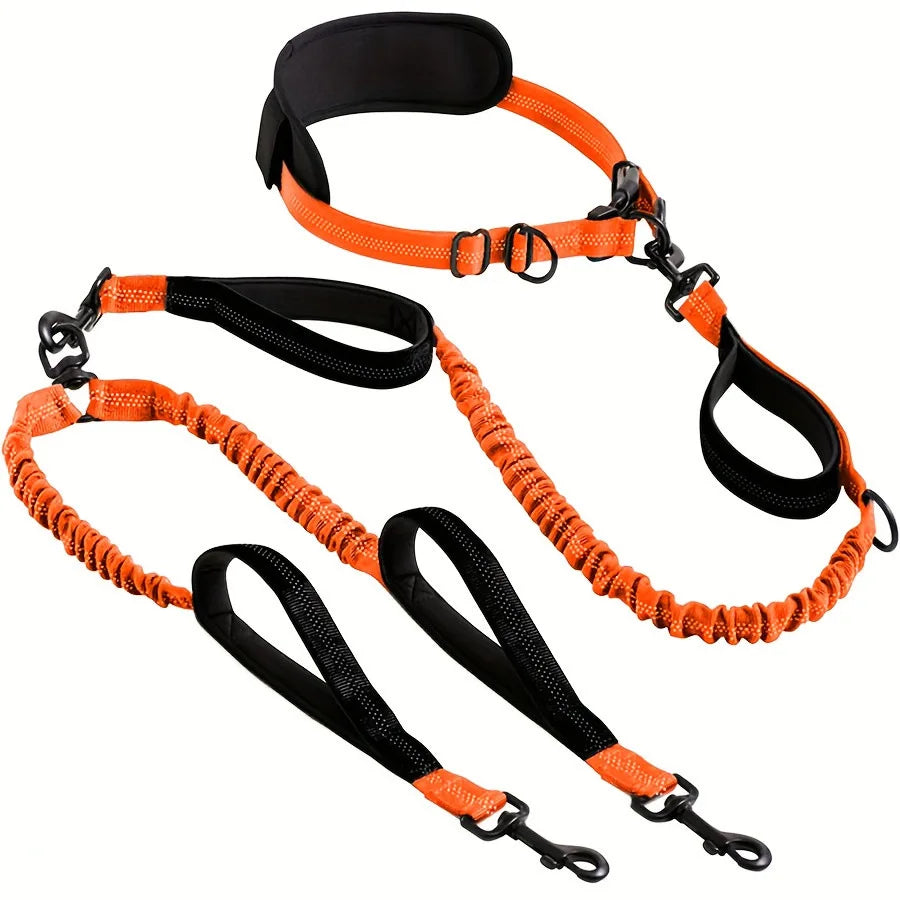 Dual Leads Hands Free Shock Absorbing Dog Leash