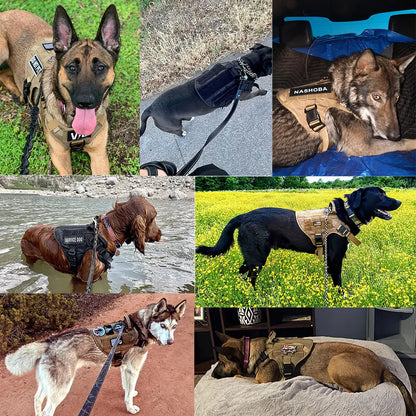 Military Large Dog Tactical Harness Training Pet Vest