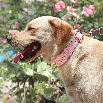 Adjustable Dog Leather Collar: Cool Spikes Metal Rivet Collar