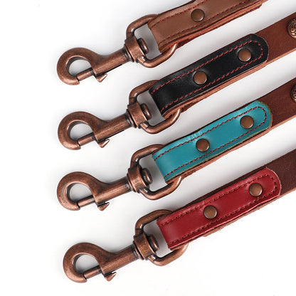 Pure Leather Luxury Metal Rivet Dog Collar and Leash Set For Medium Large Dogs