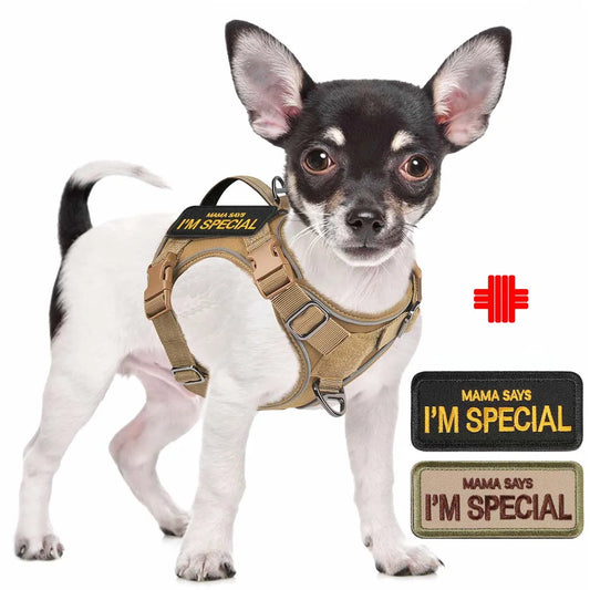 Outdoor Training Tactical Dog Harness for Small Dogs