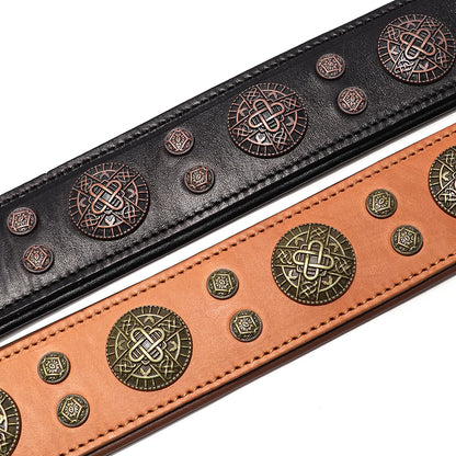 Genuine Leather Dog Collar Cool Spiked Studded for Medium Dogs