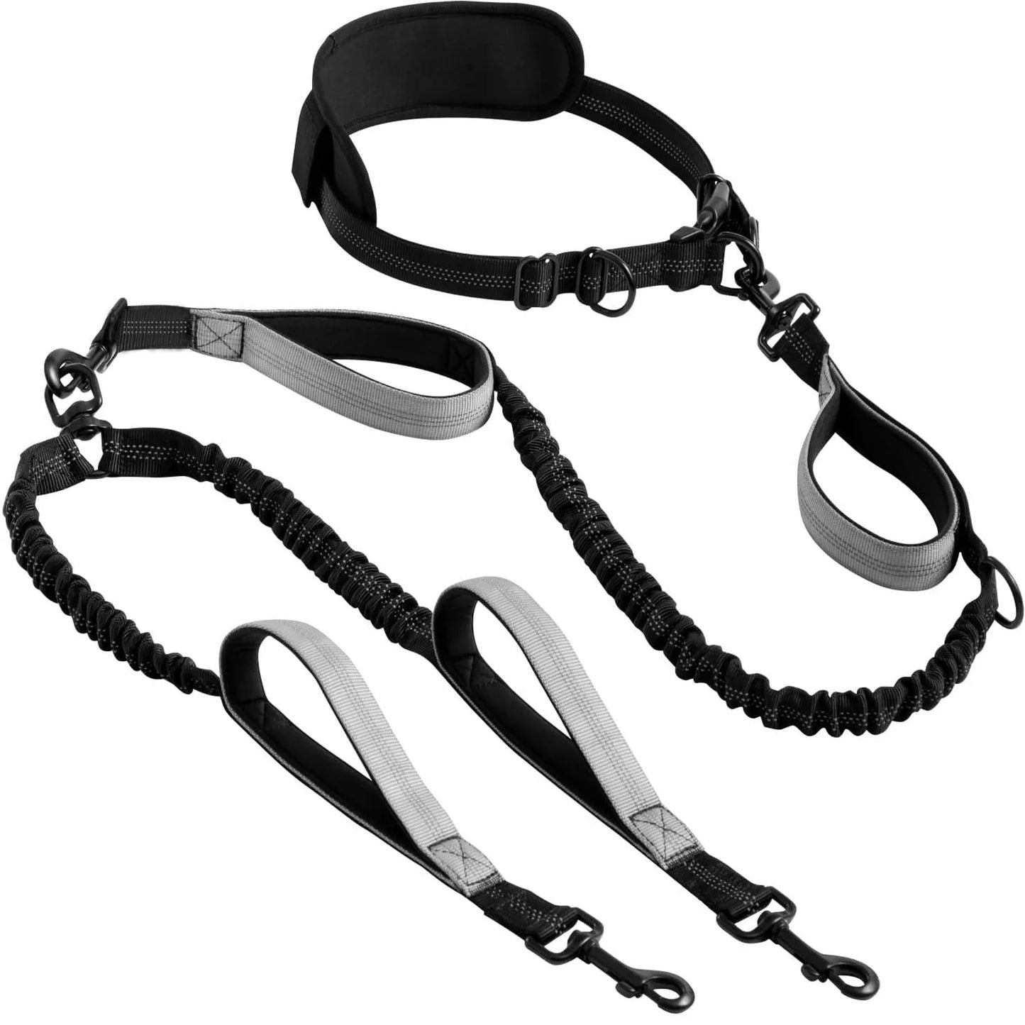 Dual Leads Hands Free Shock Absorbing Dog Leash