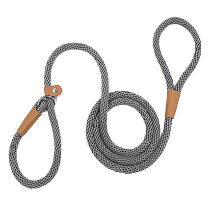 Nylon Slip Lead Dog Leash for No Pull Training