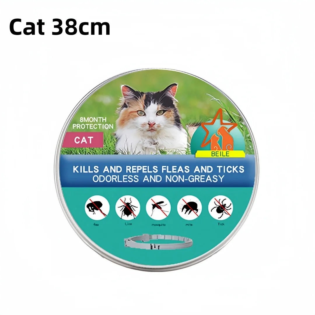 Flea And Ticks Dog or Cat Collar: 8 Month Protection for Small and Large Dogs and Cats
