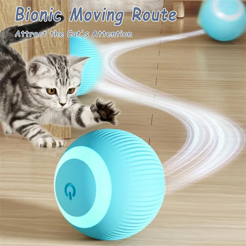 Auto matic interactive cat toys