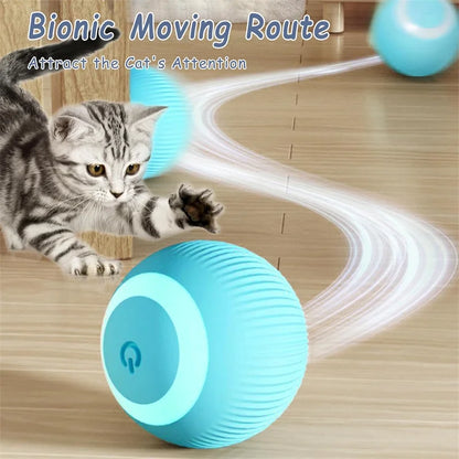 Auto matic interactive cat toys