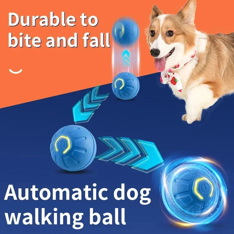Auto matic interactive dog toys