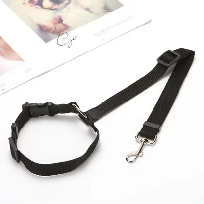 Black colour dog car seat belt and leash