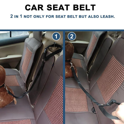 Car seat belt with leash