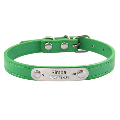 Cat dog collar colour green