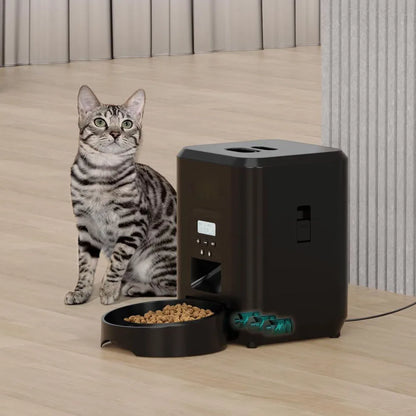 Cat smart feeder black