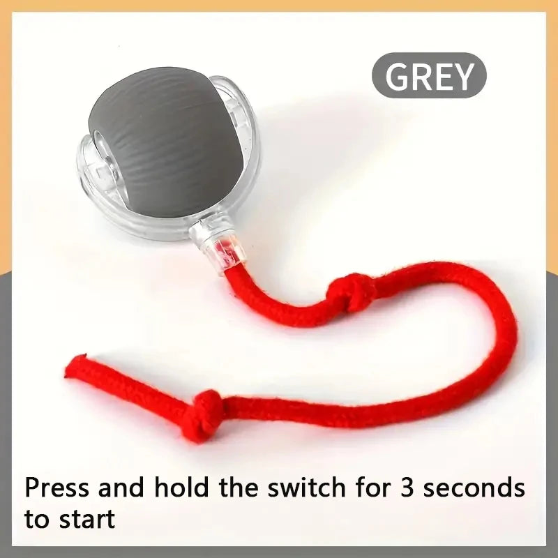 Colour grey auto matic dog toy