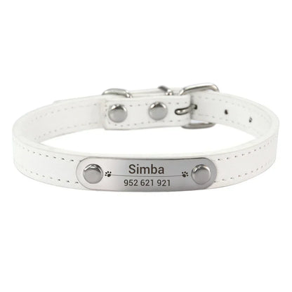 Colour white cat dog collar with name