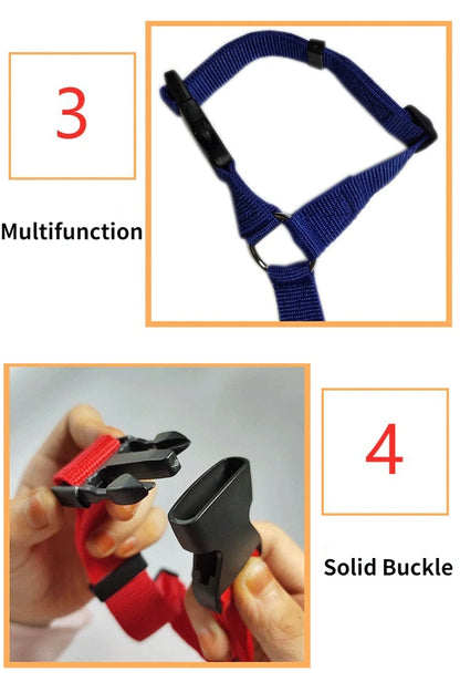 Details of dog car seat belt and leash
