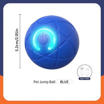 Interactive dog toy size blue
